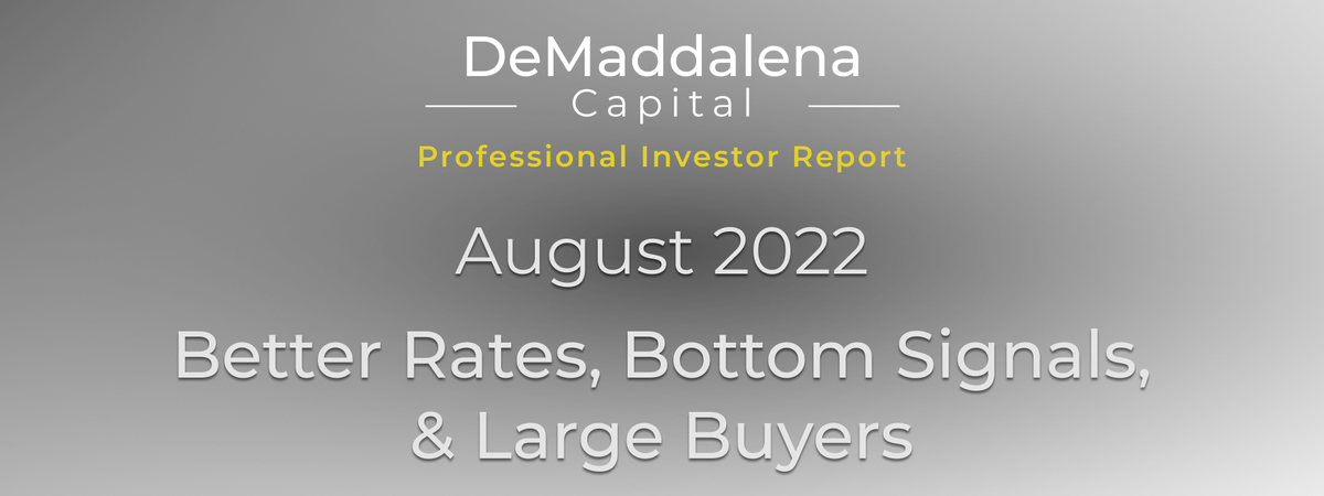 Professional Investor Report - August 2022
