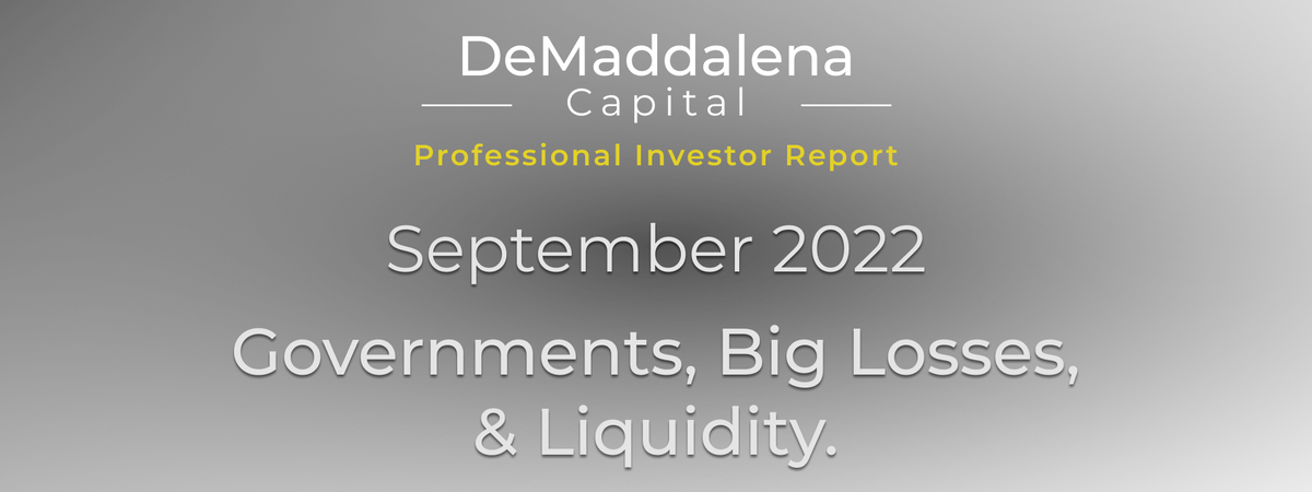 Professional Investor Report - September 2022