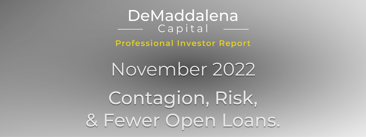 Professional Investor Report - November 2022