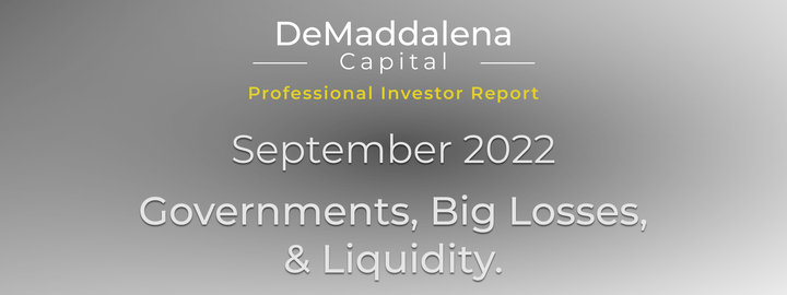Professional Investor Report - September 2022