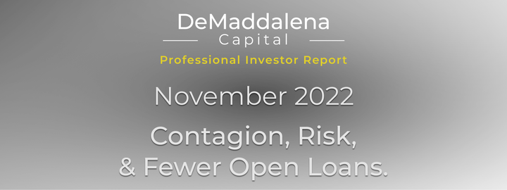 Professional Investor Report - November 2022